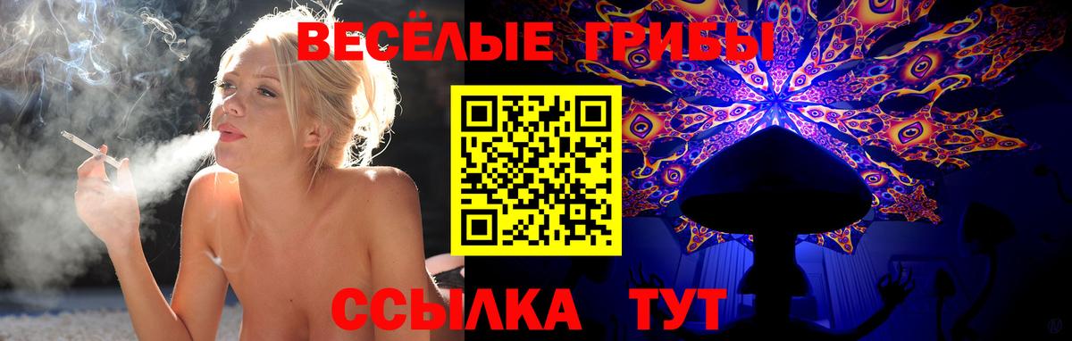 Псилоцибиновые грибы прущие грибы  Вход с VPN  дарнет шоп  Когалым  Галлюциногенные грибы Psilocybe 